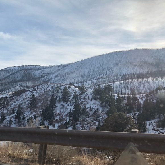 Meet your Posher, Grace - Picture 1 of 1